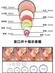 点击看大图 -天使妈妈产后康复中心(万宝店)
