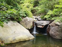 -云岫谷游猎自然风景区