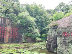 -广州莲花山旅游区