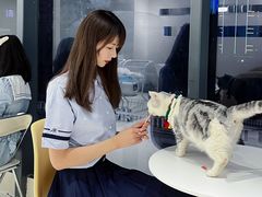 -怪兽屋·羊驼·猫咖·狗咖(俊华广场店)