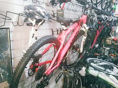 -道路口单车爱瓦士dahon大行