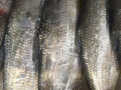 -合家小菜餐馆(新诚花苑店)