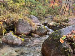 -玉渡山自然风景区