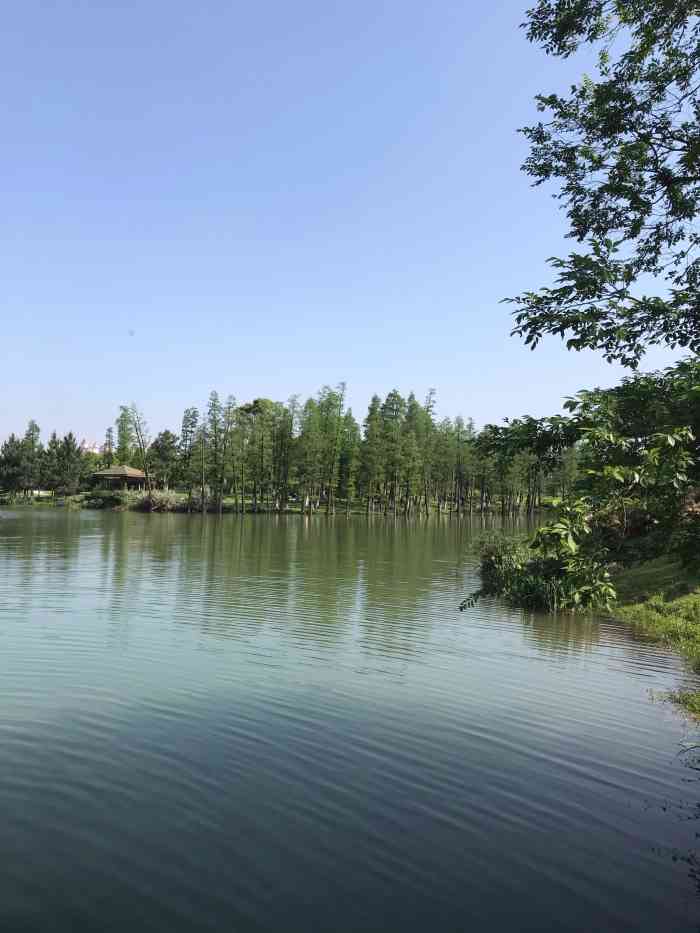 瑶湖郊野森林公园电话图片