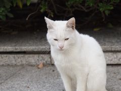 -苏州河梦清园环保主题公园