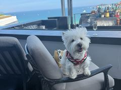 -瑰丽酒店·海吧·天际下午茶·现场DJ·天台酒吧