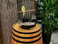 -泸州唯逸酒店(大山坪警察学院店)