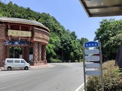 -南山植物园
