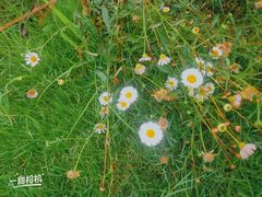 -紫颐香薰山谷景区