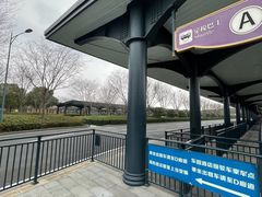 -迪士尼乐园停车场