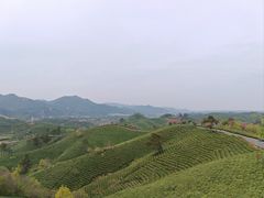 -南湾湖
