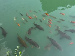 -山西通天峡景区