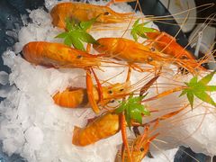 -甄御•海鲜新青岛菜(麦岛店)