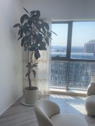 -HEYAN荷妍专业脱毛连锁机构