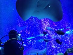 -沈阳海洋探索中心