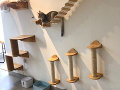 -Heymao猫咖.咖啡厅(东门店)