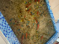 -雅逸居海鲜小厨