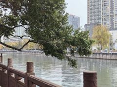 -成都市活水公园