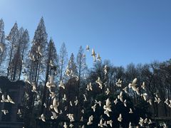 -音乐台