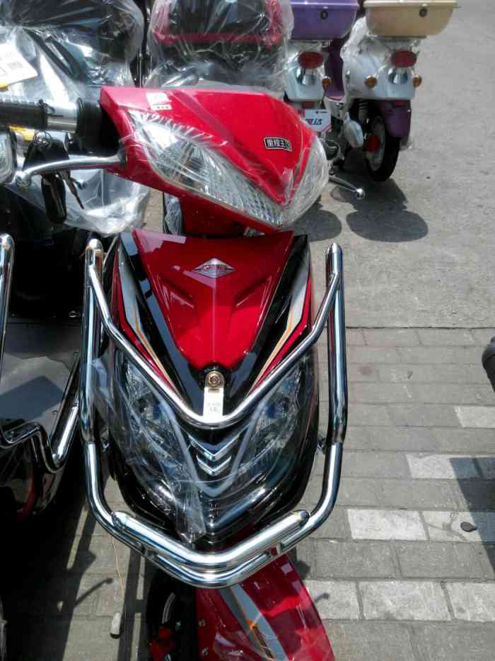 新大洲依莱达电动车(吴中路专卖店)