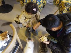 -平行世界·猫咖(首经贸店)