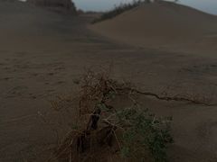 -敦煌雅丹国家地质公园