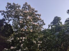 -福道