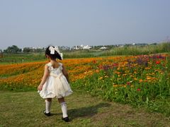 -洪湖湿地生态园