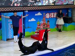 -成都浩海立方海洋公园