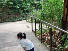 -河川生态园