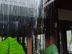 -西双版纳洲际度假酒店-曼霖轩中餐厅