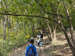 -吉林拉法山