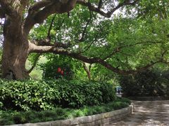 -杭州黄龙洞
