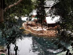 -九曲湾度假村温泉