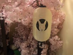 -白兔子密室(长寿路店)