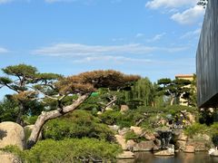 -罗红摄影艺术馆