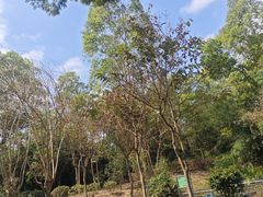 -聚龙山公园