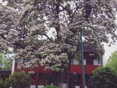 -南通濠河风景名胜区