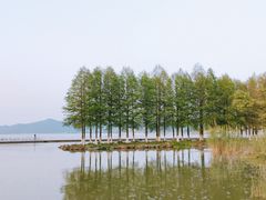 -东钱湖旅游度假区