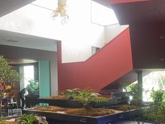 -雅苑中餐厅