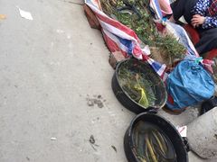 -永汉农贸市场