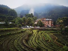 -杨家堂村