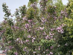 -东岳体育公园