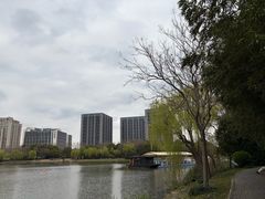-南翔镇银翔湖公园