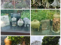 -广州神农草堂中医药博物馆