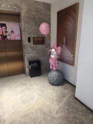 -哈尔滨瑞丽医疗美容医院