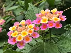-灌篮高手动画打卡地