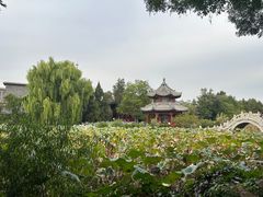 -莲池书院博物馆