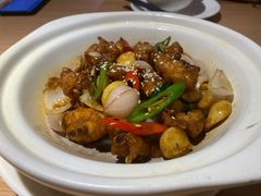 -南枝记
