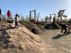 -上海长兴岛郊野公园